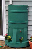 Rain Barrel