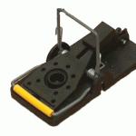 best-mouse-trap1