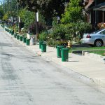 green_bin_program