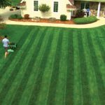 lawn_stryper