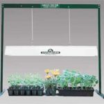 green_thumb_light_system