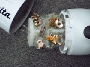 makita-vac-after makita vacuum dirty filter