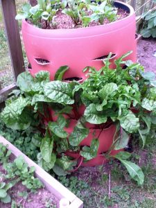 barrel-garden-2