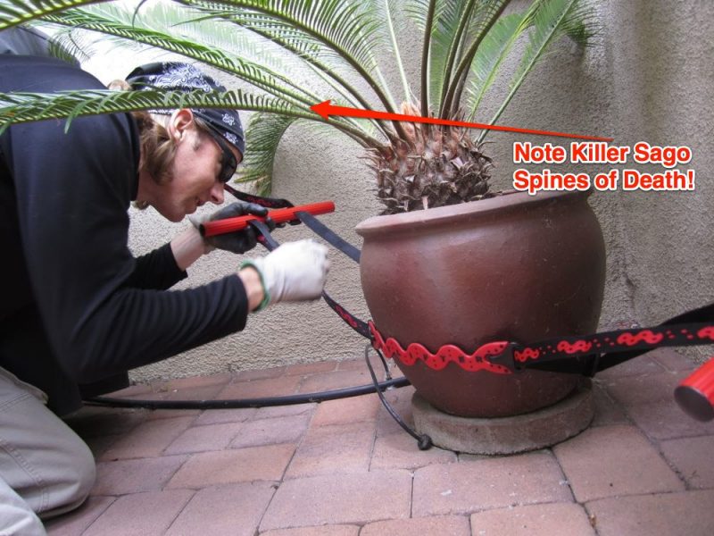 PotLifter Review Making it Legal to Hoist Pot Ergonomically