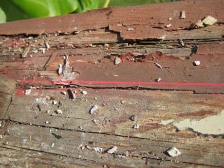 red-chalk