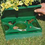 slugx_snail_slug_beer_trap