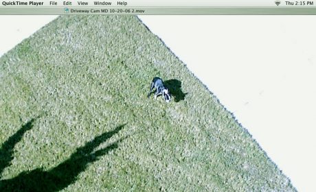 serial pooper caught in the act