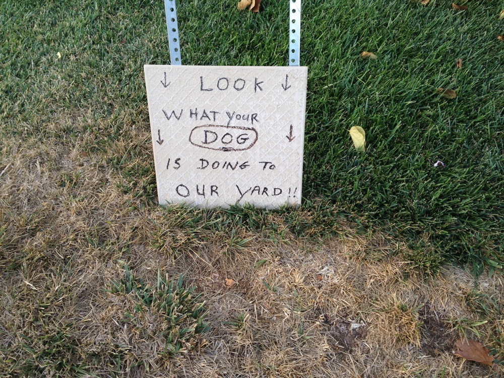 Deterrent for dogs discount pooping on lawn