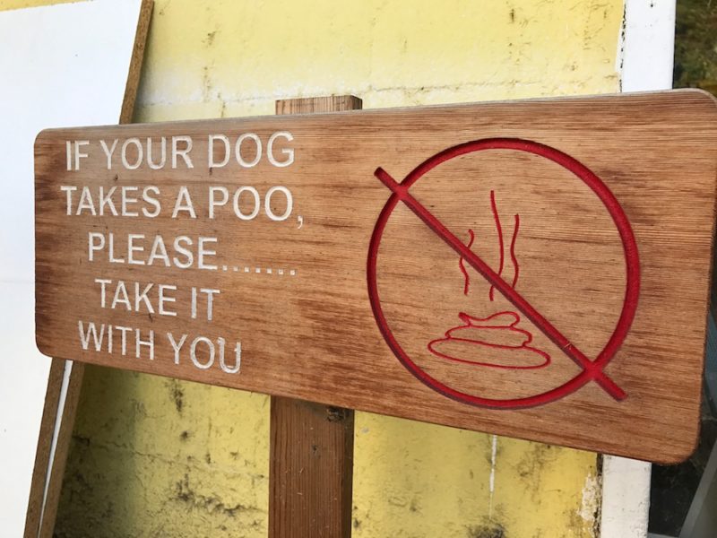 keep dogs from pooping in yard