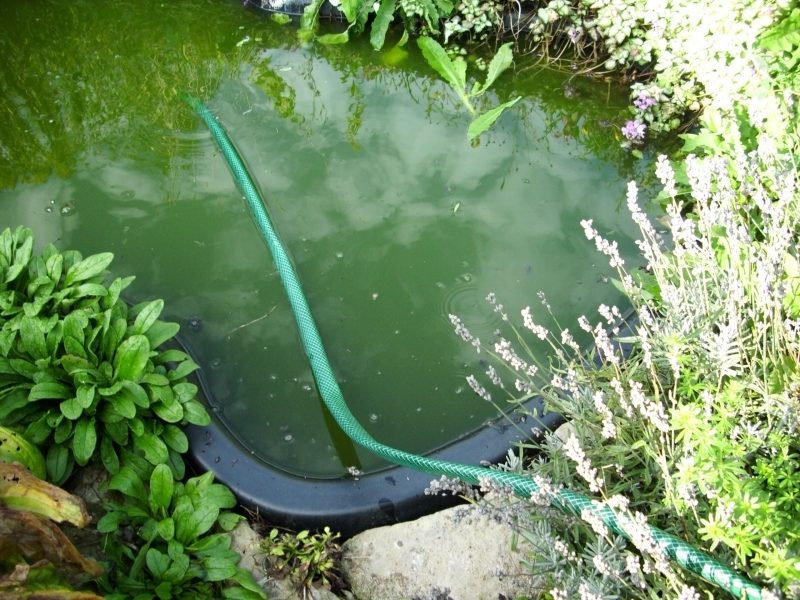 ornamental-pond