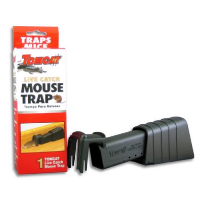 homefixated trap traps mice
