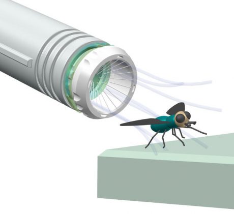 fly-goodbye-animated fly-goodbye-animated