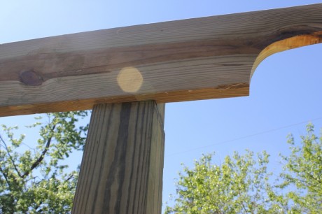 pergola-header-and-shoulder