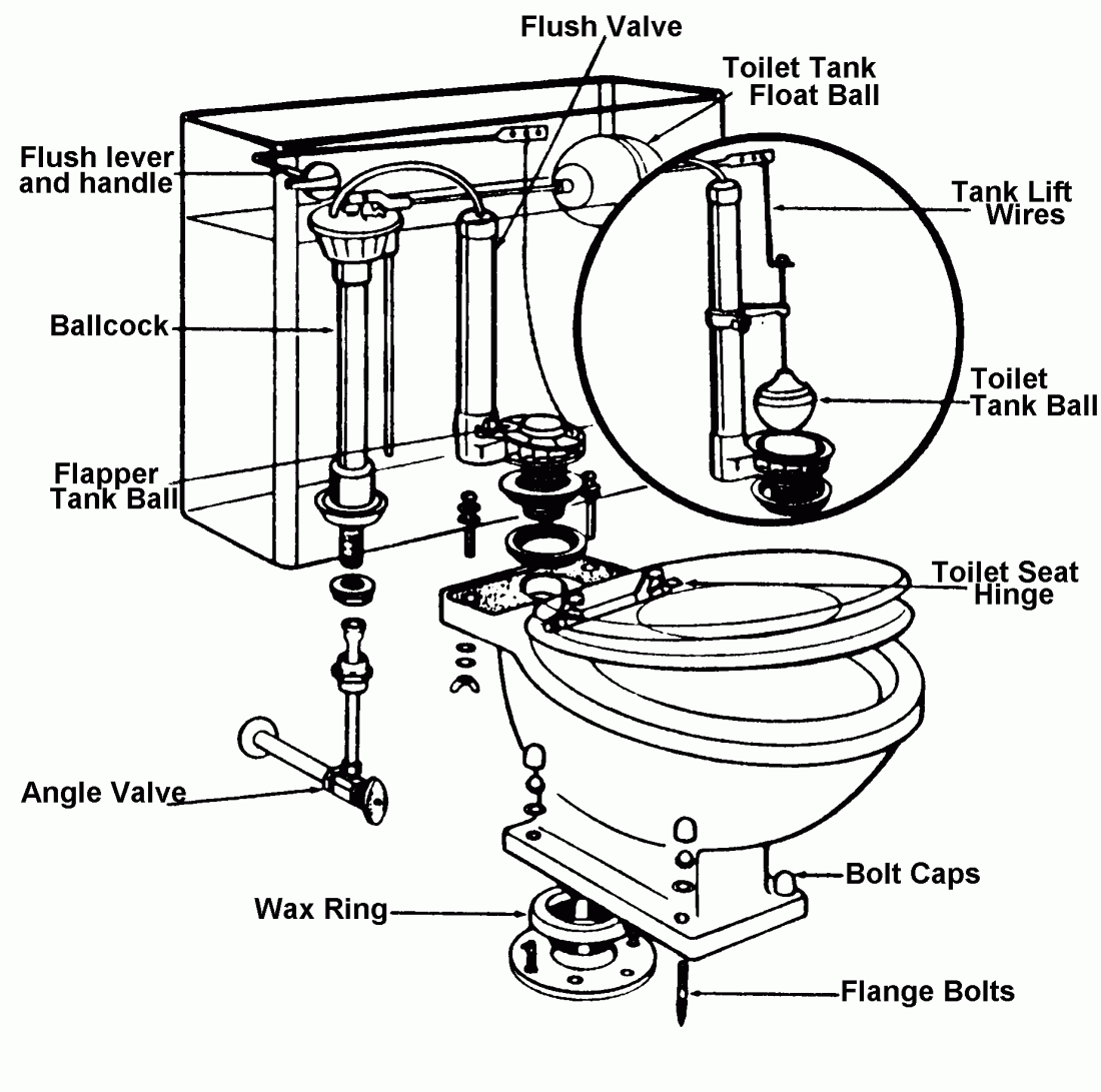 How To Change the Flapper Valve on your Leaky Toilet