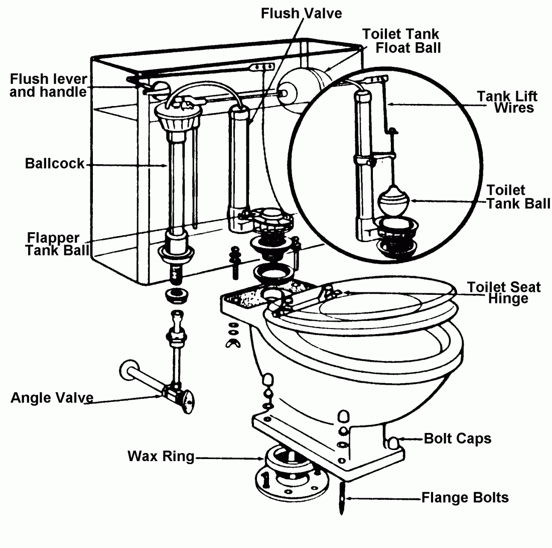 Toilet Anatomy 101: Your Toilet Parts and How They Work