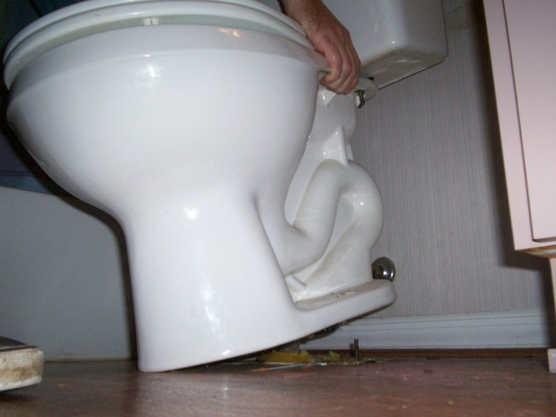 Pulling the old toilet off of the drain hole flange