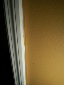Brush Strokes and Overpainted Trim-A Big No-No!