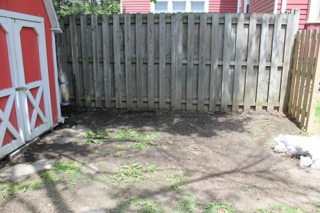 spring yard care