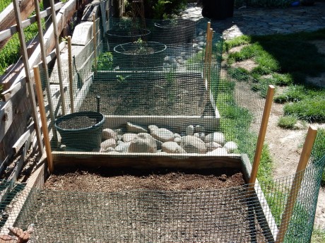 garden fence