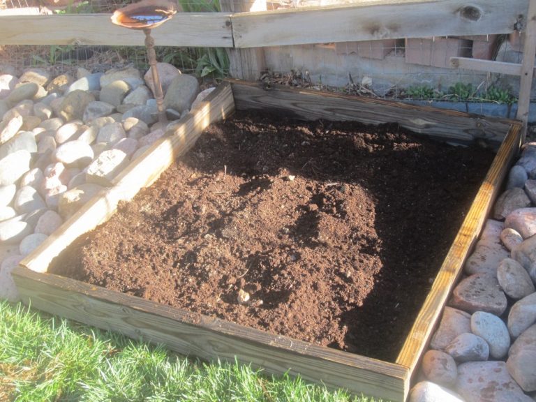raised garden bed