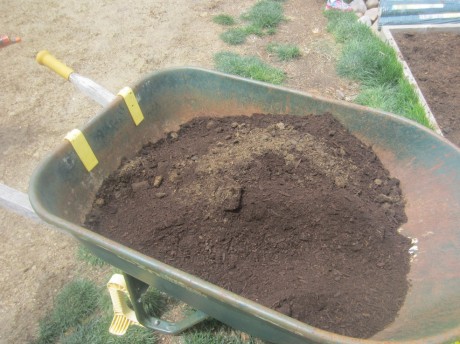 Old horse manure