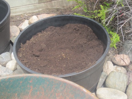 potting soil