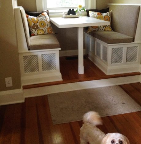 The pup- happy with her new house.