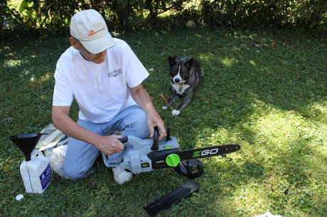 ego 56v chainsaw