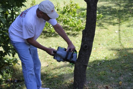 ego 56v chainsaw
