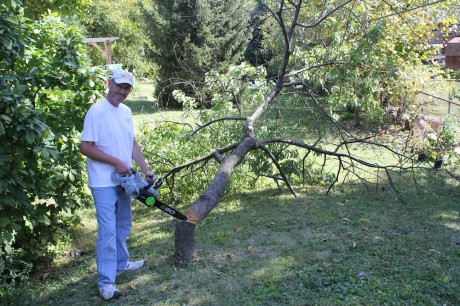 ego 56v chainsaw