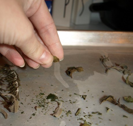 When done, herbs should be crinkly to the touch.