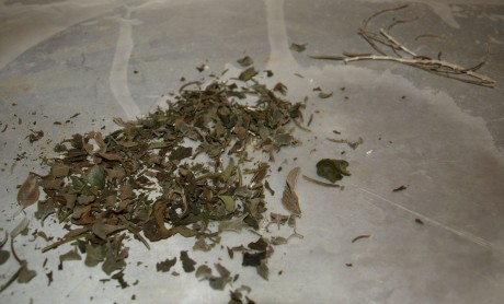 Separate and discard stems.