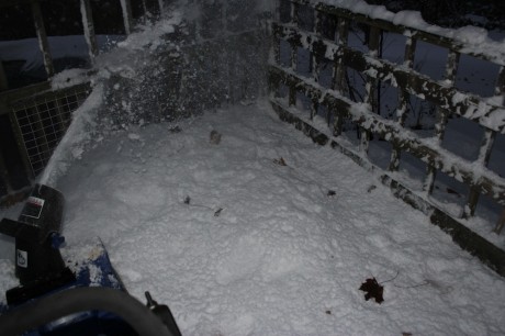 snow joe ion