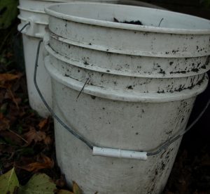 I use a 5 gallon bucket to grow garlic in.