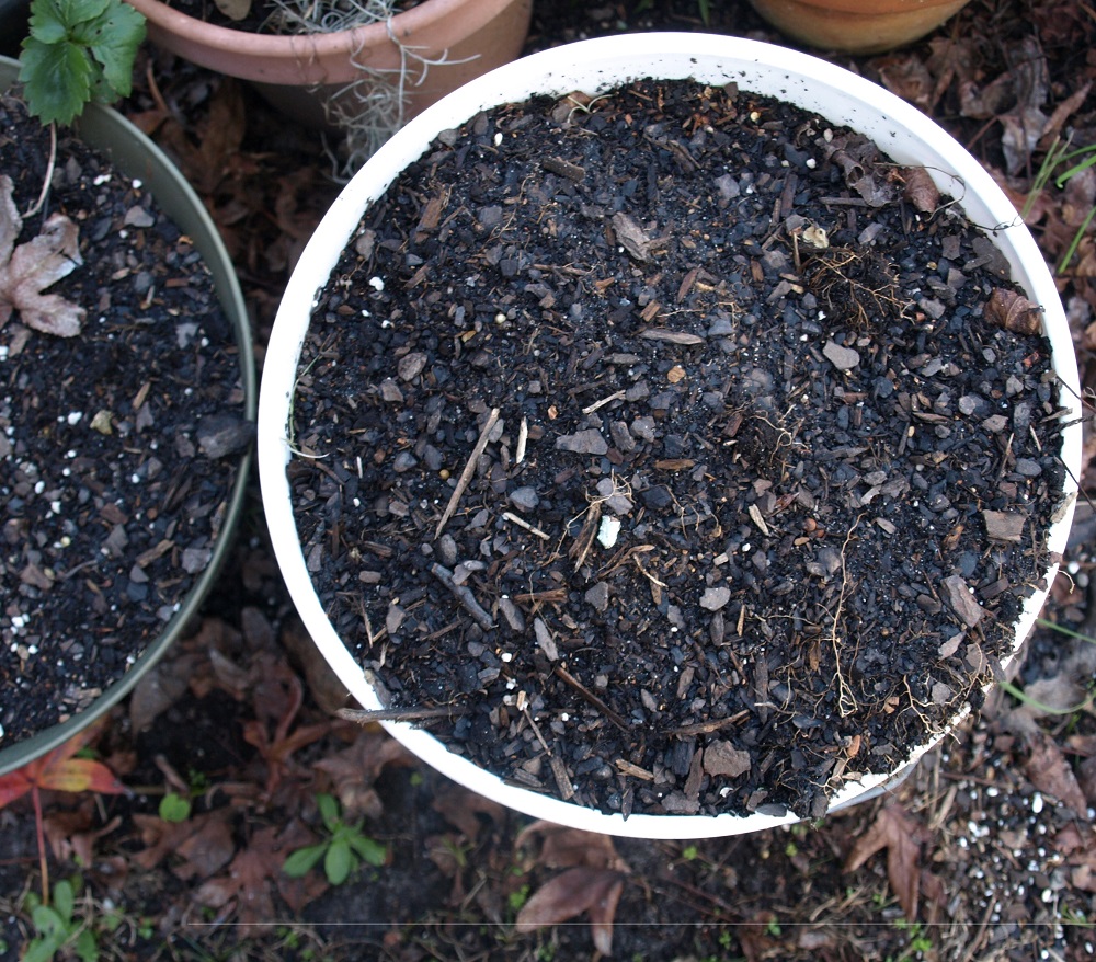 how-to-recycle-potting-soil