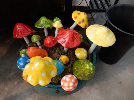 kids garden