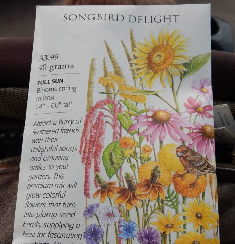 garden for birds