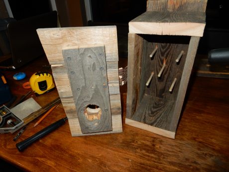 roosting box