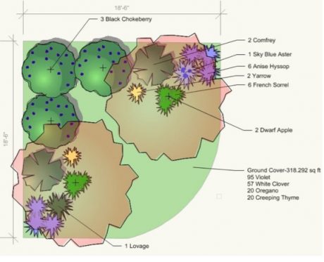A Permaculture "Guild." courtesy of backyardabundance.org