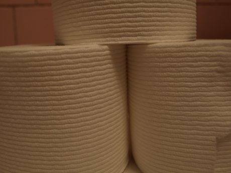 Oyster mushrooms will grow on toilet paper.