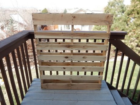 vertical pallet garden