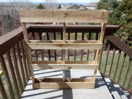 vertical pallet garden
