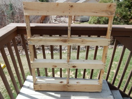 vertical pallet garden
