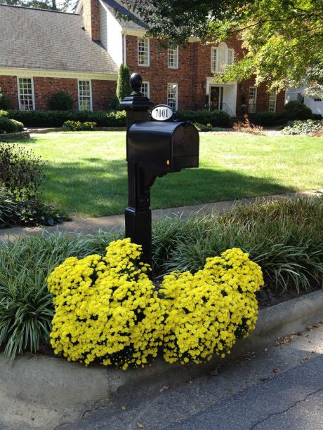 Simple flowers can make a huge difference in mailbox appeal