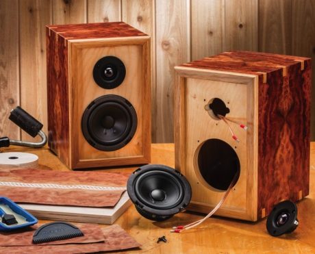 diy speaker kit