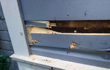 clapboard siding repair