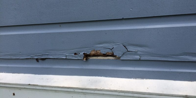 Clapboard Siding Repair 101 How To Replace That Rotted Clapboard Siding Repair 101 How To Replace That Rotted