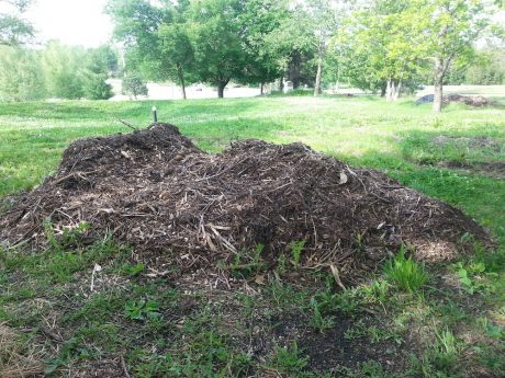 Wood chip mulch is plentiful, and often FREE!