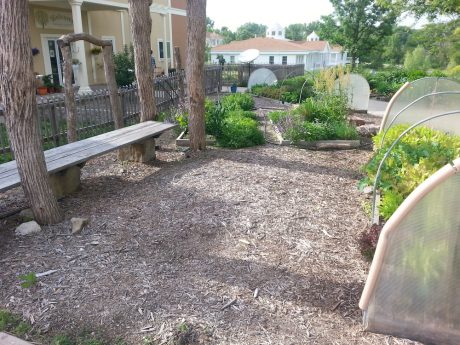 Wood chip mulch is great for suppressing weeds in paths.