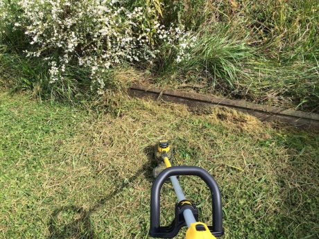 dewalt dcst920p1